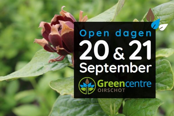 Open dagen